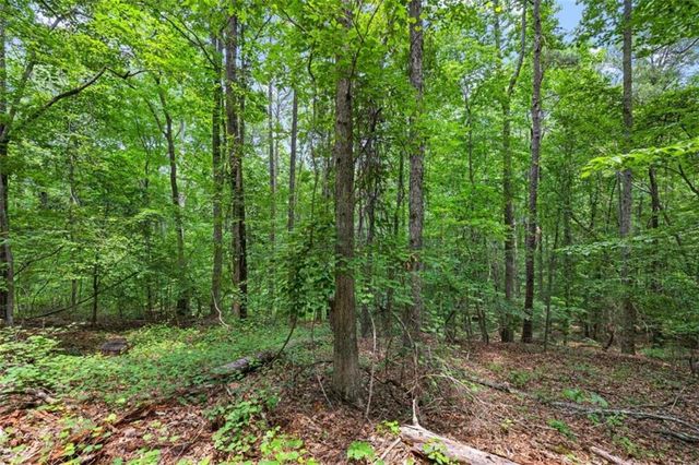 0 Terry Road, Fairburn, GA 30213