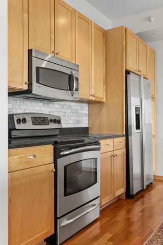 4525 Park Commons Drive 521, Saint Louis Park, MN 55416