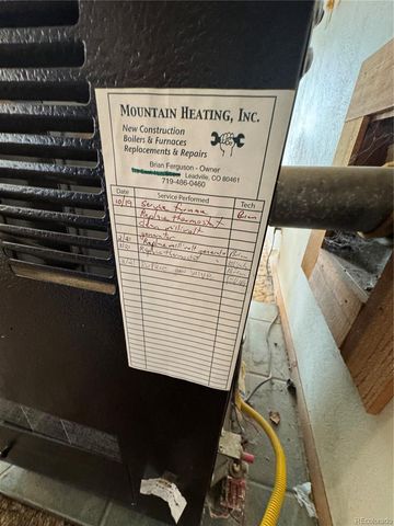 518 E 7th Street, Leadville, CO 80461