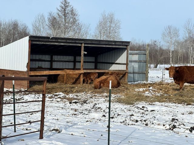 8920 16th Street SW, Backus, MN 56435