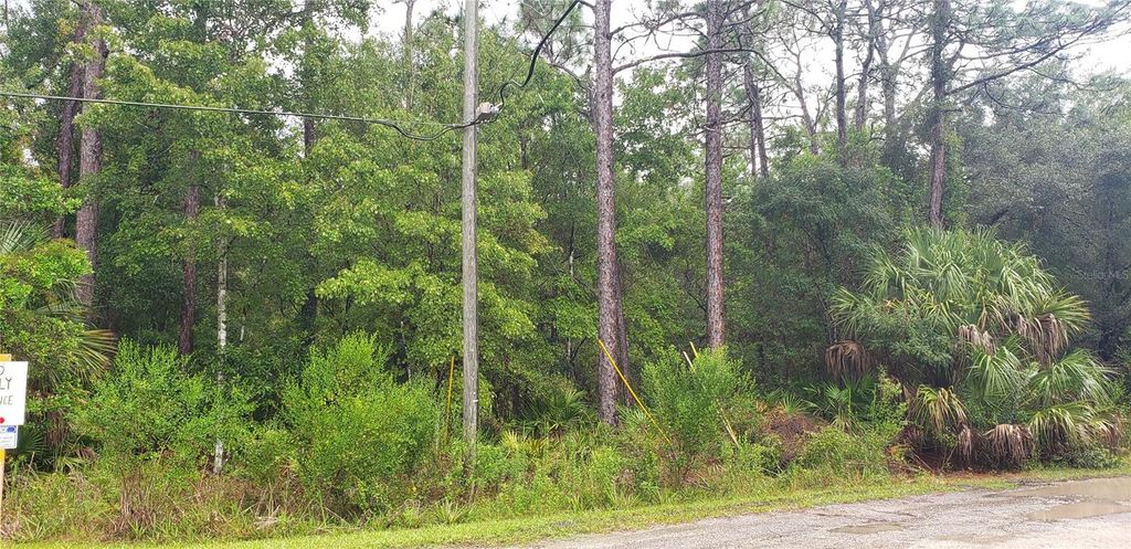 1179 N TESSA TERRACE, Crystal River, FL 34429