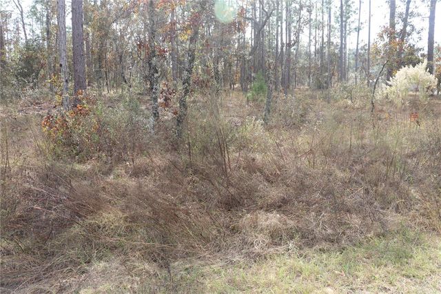 00 GERANIUM AVENUE, Dunnellon, FL 34431