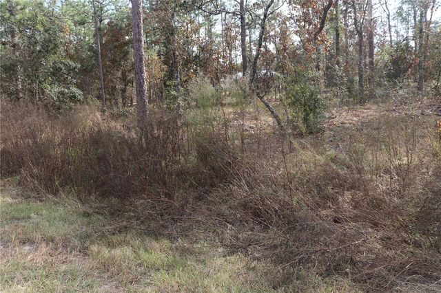 00 GERANIUM AVENUE, Dunnellon, FL 34431