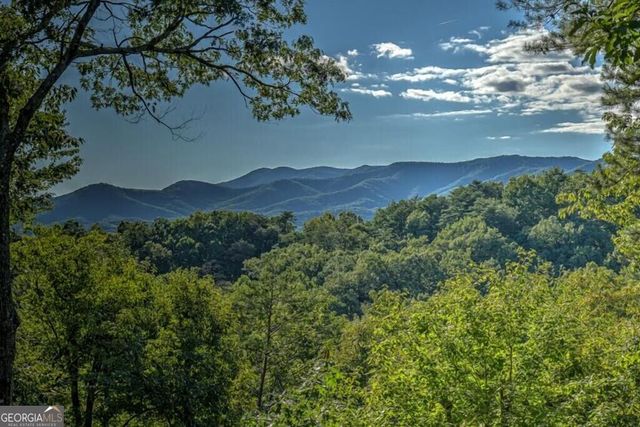 20 Smith Hill Road, Blue Ridge, GA 30513