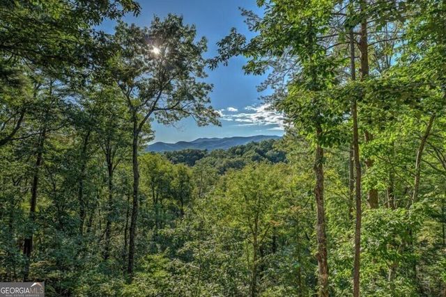 20 Smith Hill Road, Blue Ridge, GA 30513
