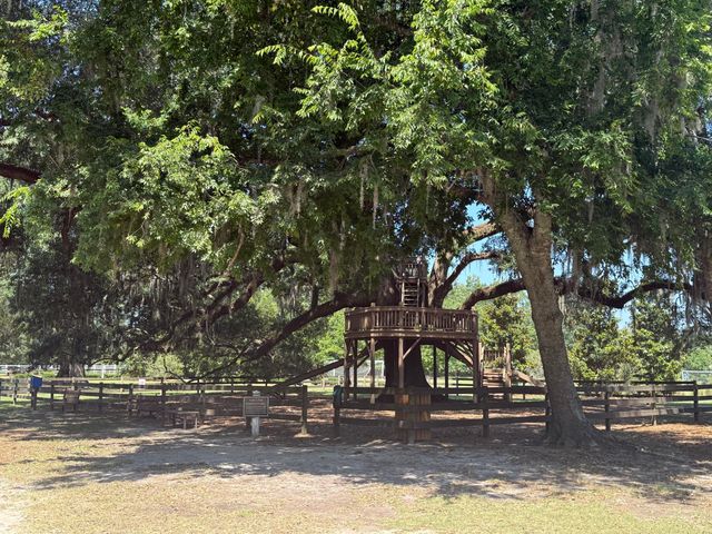 235 Lotz Drive, Summerville, SC 29483