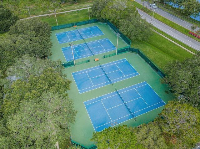 11916 SNAPDRAGON ROAD, Tampa, FL 33635