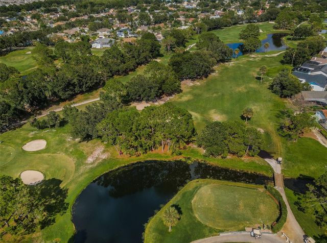 11916 SNAPDRAGON ROAD, Tampa, FL 33635