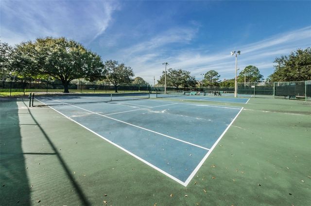 11916 SNAPDRAGON ROAD, Tampa, FL 33635