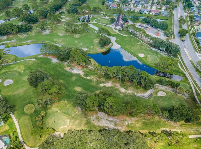 11916 SNAPDRAGON ROAD, Tampa, FL 33635