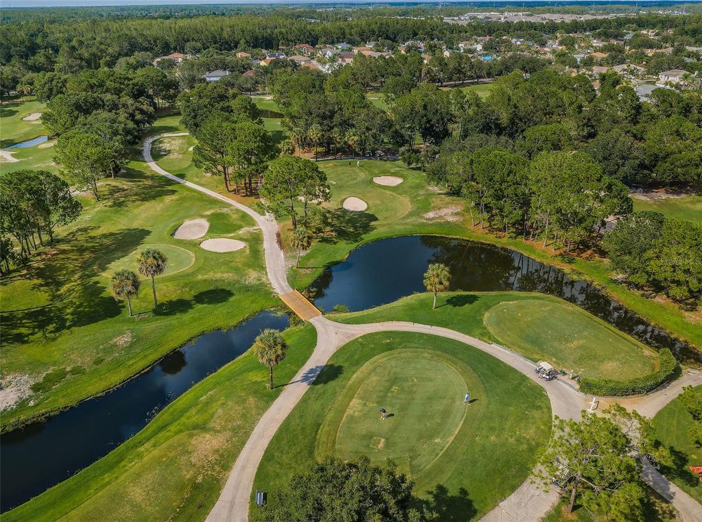 Image 55 of property listing at 11916 SNAPDRAGON ROAD, Tampa, FL 33635
