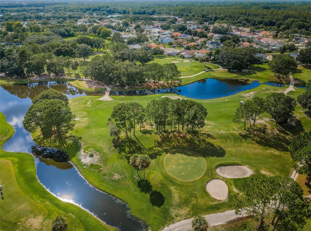Image 59 of property listing at 11916 SNAPDRAGON ROAD, Tampa, FL 33635