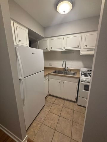 3161 N Cambridge Avenue 315, Chicago, IL 60657