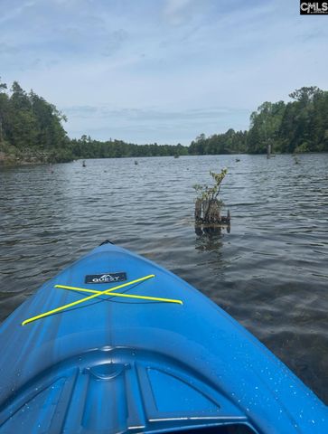 623 Rose Quartz Lane, Lexington, SC 29073