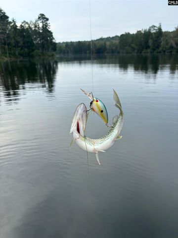 623 Rose Quartz Lane, Lexington, SC 29073