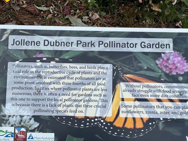 31 Merrill St, Lowell, MA 01852