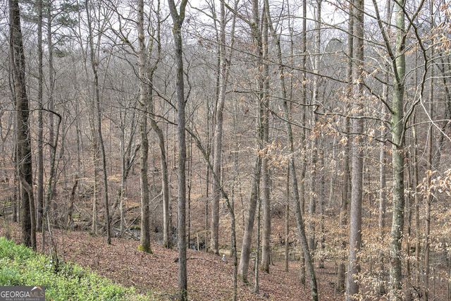 302 Waterfall Court, Canton, GA 30115