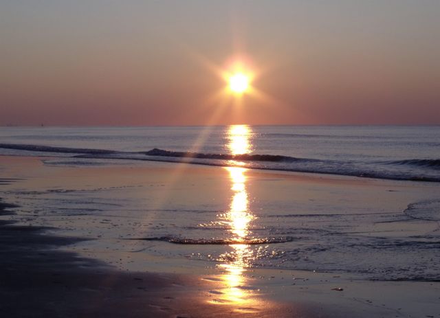 8500 Margate Cir Apt 2104, Myrtle Beach, SC 29572