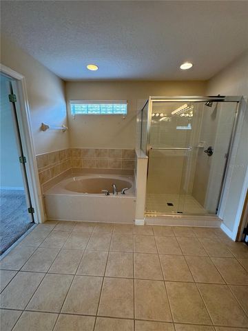 9761 LAKE DISTRICT LANE, Orlando, FL 32832