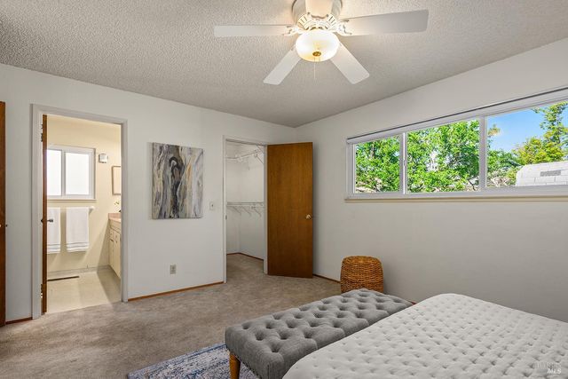 429 Eileen Dr, Sebastopol, CA 95472