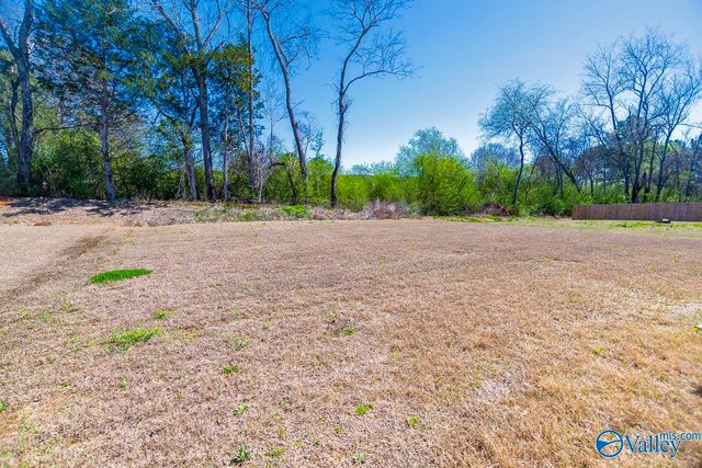 110 Olde Hearth Road, New Market, AL 35761