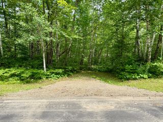 Lot 7 Block 1 Yellow Birch Ln, Emily, MN 56447