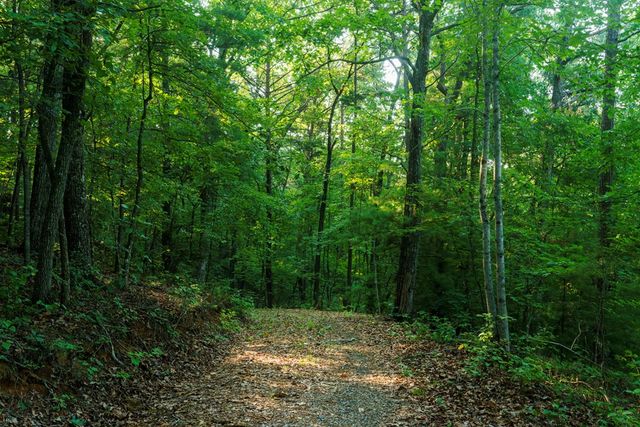 0 Gloryland Way, Murphy, NC 28906