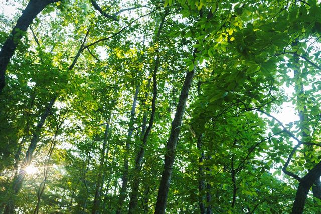 0 Gloryland Way, Murphy, NC 28906