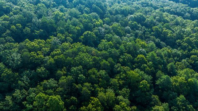 0 Gloryland Way, Murphy, NC 28906