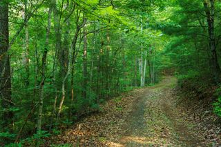 0 Gloryland Way, Murphy, NC 28906