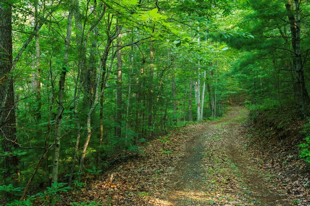 0 Gloryland Way, Murphy, NC 28906