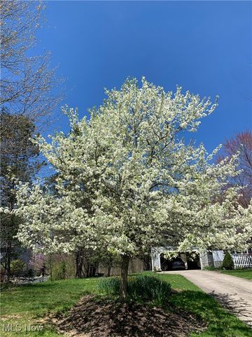 8730 Lake In The Woods Trail, Chagrin Falls, OH 44023