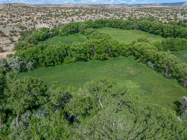 477 County Road 142, Medanales, NM 87548
