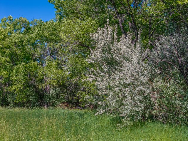 477 County Road 142, Medanales, NM 87548