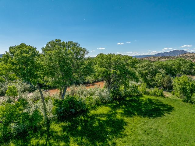 477 County Road 142, Medanales, NM 87548