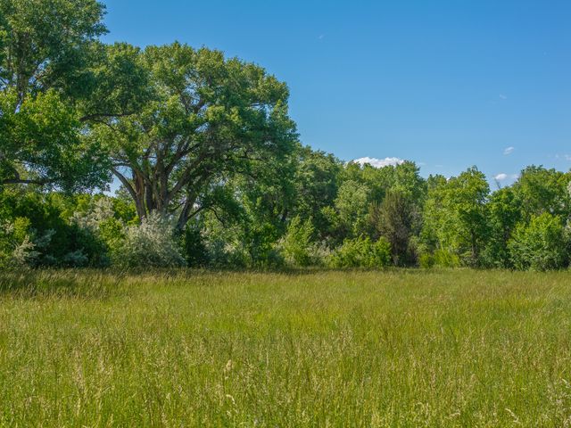 477 County Road 142, Medanales, NM 87548