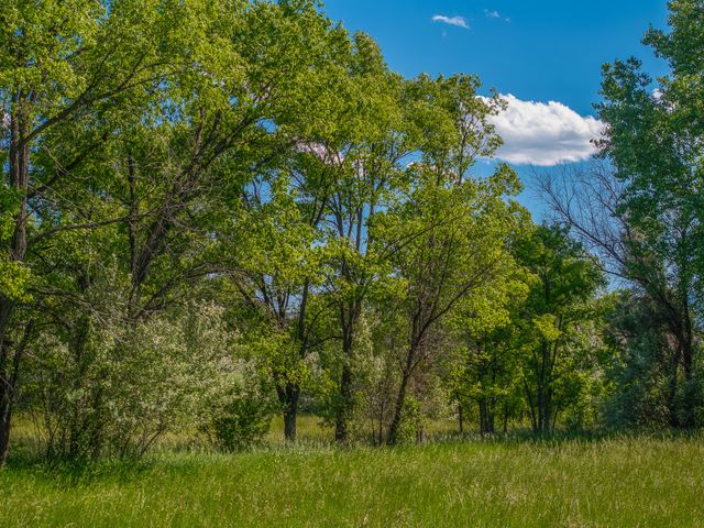 477 County Road 142, Medanales, NM 87548
