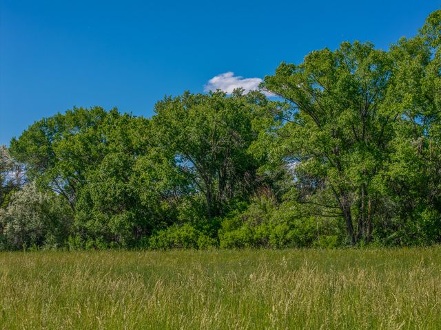 477 County Road 142, Medanales, NM 87548