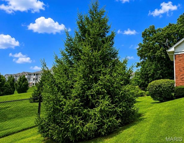 17 Rio Vista Drive, St Charles, MO 63303