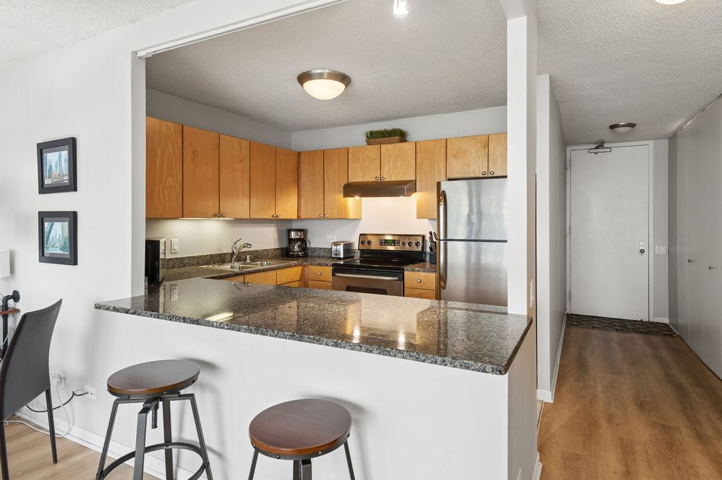 30 E Huron Street 5006, Chicago, IL 60611 — photo 4