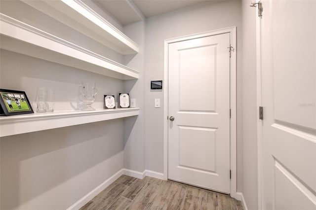 1133 CREEK VALLEY COURT, Brandon, FL 33511