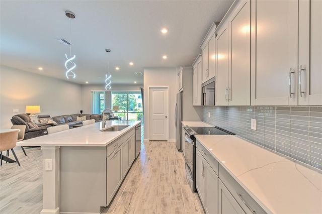 1133 CREEK VALLEY COURT, Brandon, FL 33511