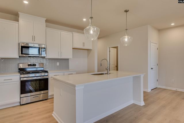 405 Cloak Pin Lane, Lexington, SC 29073