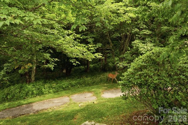 276 Four Diamond Drive, Seven Devils, NC 28604