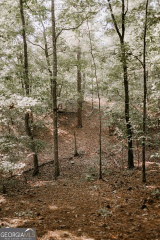 709 Day Road, Meansville, GA 30256