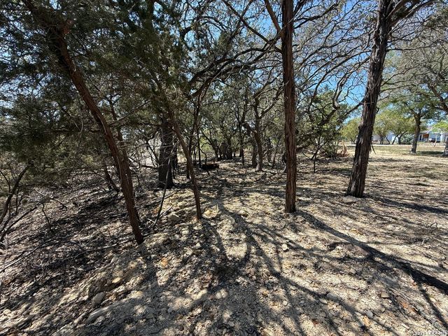 1123 Alta Vista, Canyon Lake, TX 78133