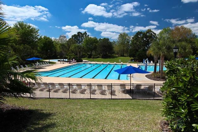 6025 CHURCHSIDE DRIVE, Lithia, FL 33547