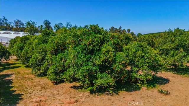 8258 Via Urner Way, Bonsall, CA 92003
