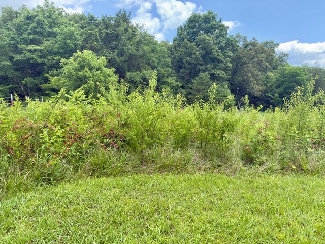 10113 Kentucky 92, Monticello, KY 42633