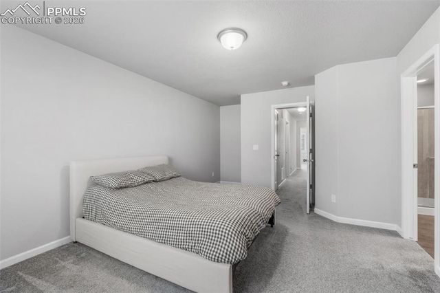 6115 White Wolf Point, Colorado Springs, CO 80925